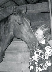 Building trust with a traumatised thoroughbred.